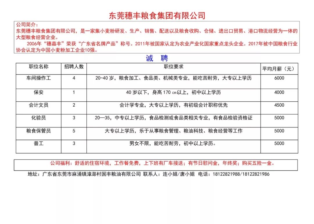 东莞东城桑园最新招聘动态与就业信息全面解析