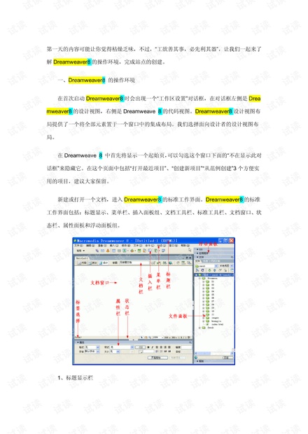 DW最新教程，掌握现代网页设计技巧实战指南