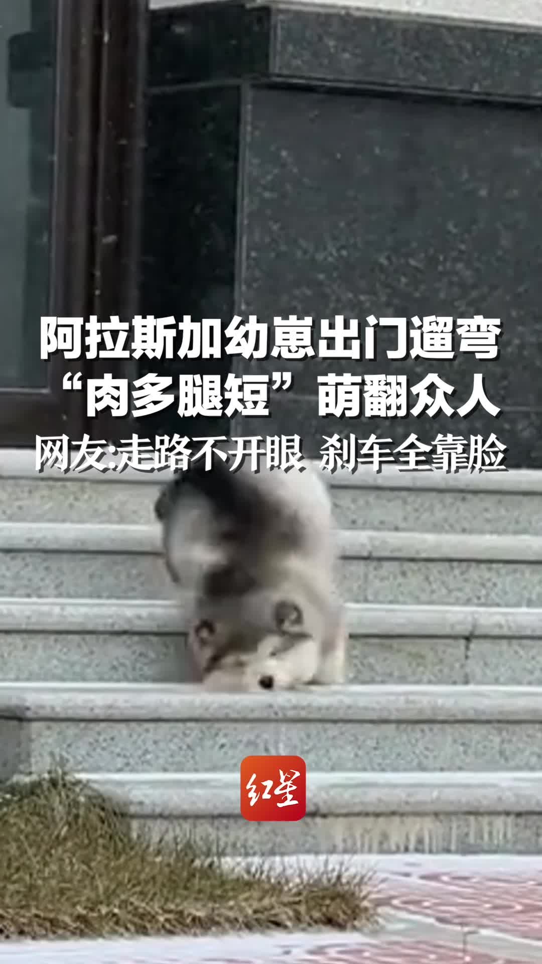 开眼翻墙下载行为的违法犯罪问题探讨