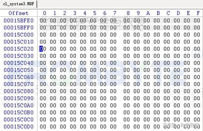 2024新澳最精准资料,动态调整策略执行_X98.248