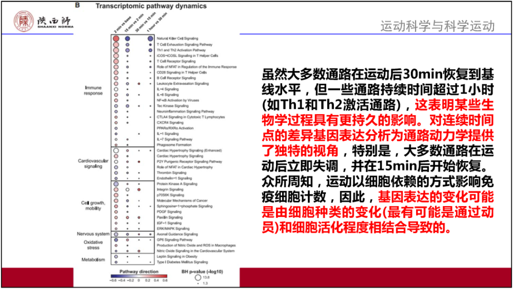 新奥门资料大全正版资料2024年免费下载,未来趋势解释定义_AR94.463