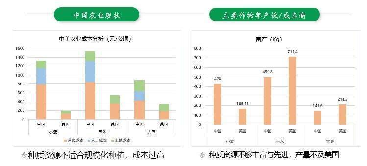 2024新澳门天天彩免费资料大全特色,数据设计驱动策略_P版49.968