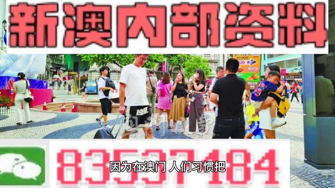 2024新澳门正版免费资料,效率资料解释落实_游戏版256.183